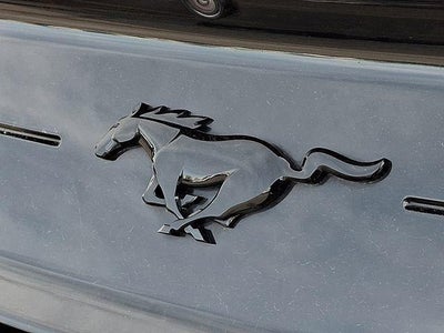 2021 Ford Mustang EcoBoost