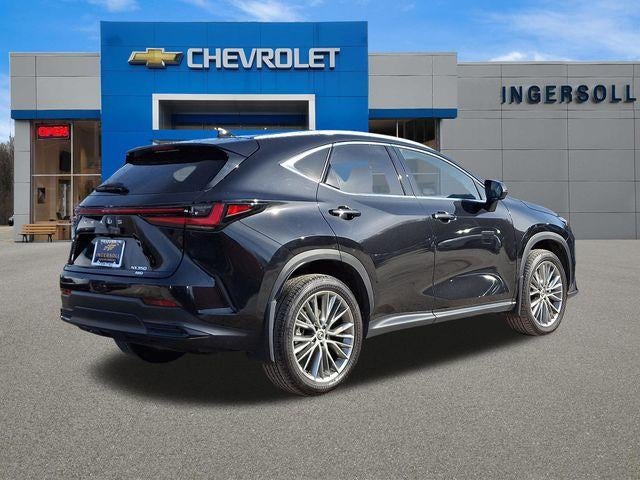 2024 Lexus NX 350 Luxury