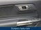 2016 Ford Shelby GT350 Shelby GT350