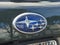2024 Subaru Forester AWD